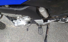 YAMAHA WR250X DG15J
