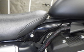 HARLEY XL883N 2019