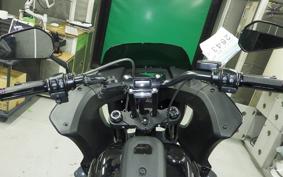 HARLEY FXLRST1920 2024