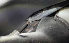 HONDA GYRO CANOPY TA03