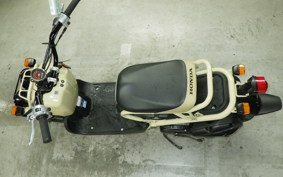 HONDA ZOOMER 2010 AF58