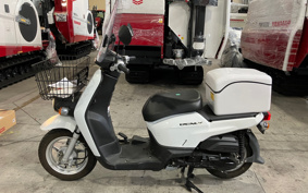 HONDA  BENLY  PRO  AA05