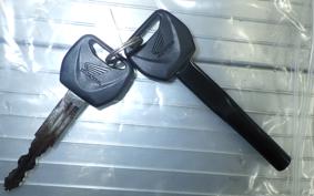 HONDA REBEL 250 E-Clutch 2025 MC49