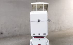 OTHER  BLAZE EV DELIVERY  ..