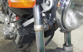 HONDA HORNET 250 2024 MC31