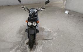 HONDA ZUMAR AF58
