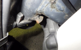 HONDA C110 SUPER CUB