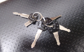 YAMAHA YBR125ED RE05