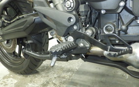 TRIUMPH TIGER 800 XR T 2019