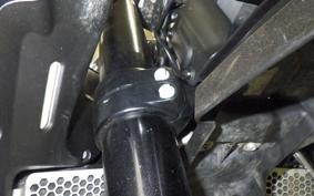 HUSQVARNA NORDEN901 2022