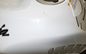KAWASAKI NINJA ZX-6R A 2021 ZX636G