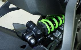 KAWASAKI ZX-25RR ZX250H