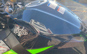 KAWASAKI NINJA 400 2018 EX400G