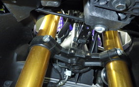 YAMAHA YZF-R15 2013 RG86J