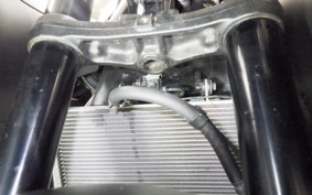 HONDA CBR650R 2024 RH03