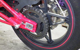 OTHER +ﾒｶﾞﾘ250R 2023