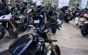 TRIUMPH SPEED 400 2026 T127Y1
