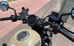 HONDA  REBEL 250 ABS MC49