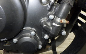 HONDA REBEL 250 A 2010 MC49