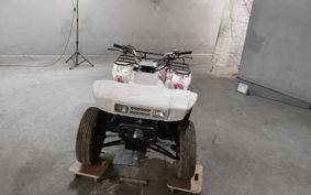 HONDA TRX300FW TE15