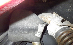 HONDA DJ-1 2024 AF12