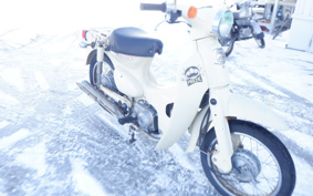 HONDA LITTLE CUB AA01