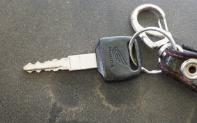 HONDA HORNET 250 MC31