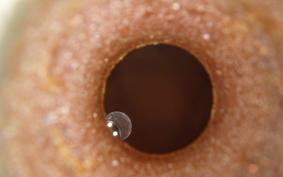 HONDA GL 1800 GOLD WING 2001 SC47