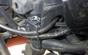KAWASAKI NINJA 250 EX250L