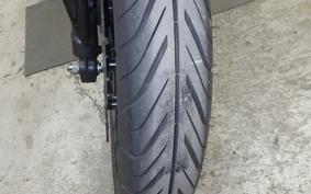 KAWASAKI NINJA 250 EX250L