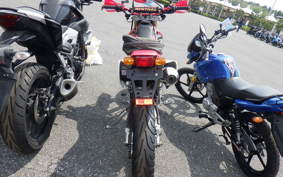 HONDA XR250 MOTARD 2009 MD30