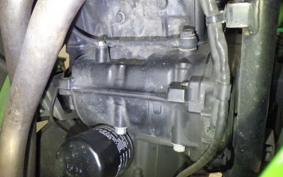 KAWASAKI NINJA 250 2017 EX250L