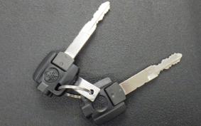 YAMAHA CYGNUSｸﾞﾘﾌｧｽ SEJ4J