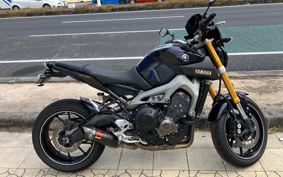 YAMAHA MT-09 2014 RN34J