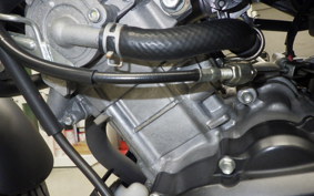 YAMAHA XSR155 2019