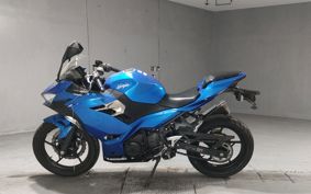 KAWASAKI NINJA 250 EX250P