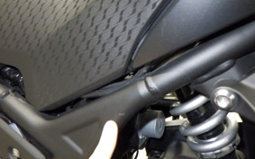 YAMAHA YZF-R3 2021 RH13J