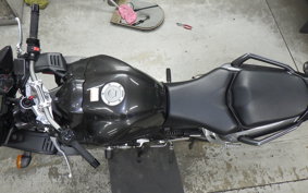 YAMAHA FZ1 FAZER 2009 RN21J