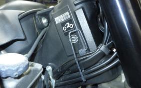 YAMAHA WR250X 2009 DG15J