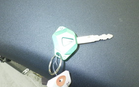 KAWASAKI NINJA ZX-6R A 2021 ZX636G