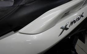 YAMAHA X-MAX 250 A 2006 SG42J
