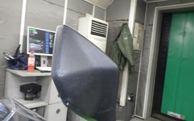 KAWASAKI ZX-4RR 2023 ZX400P