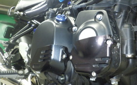 KAWASAKI Z900RS 2021 ZR900C