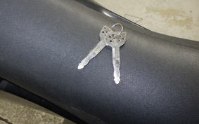 YAMAHA WR250R 2024 DG15J