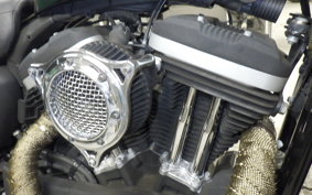 HARLEY XL883N 2010