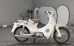 HONDA LITTLE CUB AA01