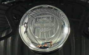 HARLEY FXBB 2020 YJJ