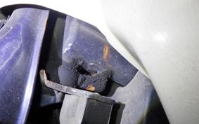 HONDA C50 SUPER CUB AA01