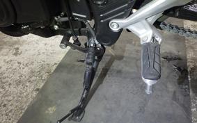 HONDA NX400 2024 NC65