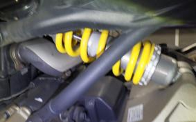 DUCATI MONSTER 821 2015